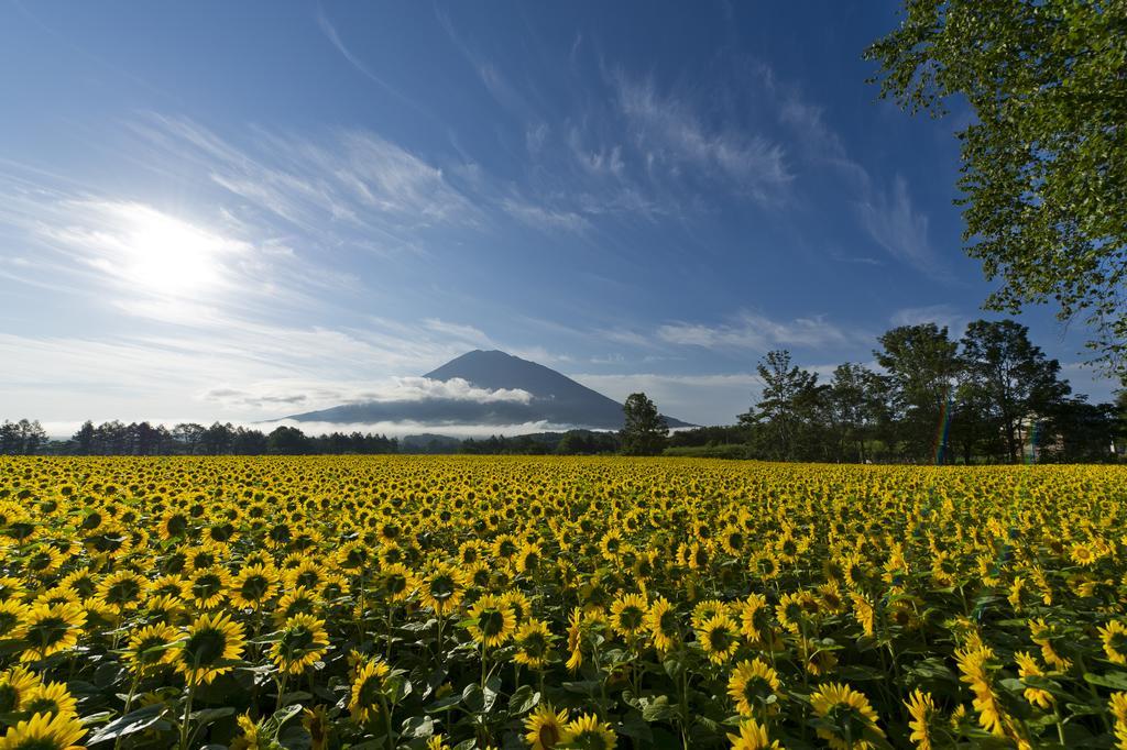 โรงแรมคิมามาย่า บูทิค นิเซโกะ ภายนอก รูปภาพ